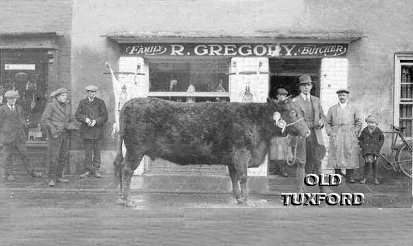 Curtis Machin with prize-winning bullock outside Gregory's butchers