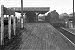 Dukeries Junction, high level platform - 17/09/1955